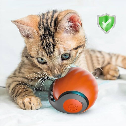 +FREE ThePetFountain™ Speedy Tail Ball